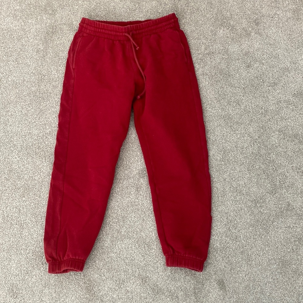 Aritzia TNA sweatpants